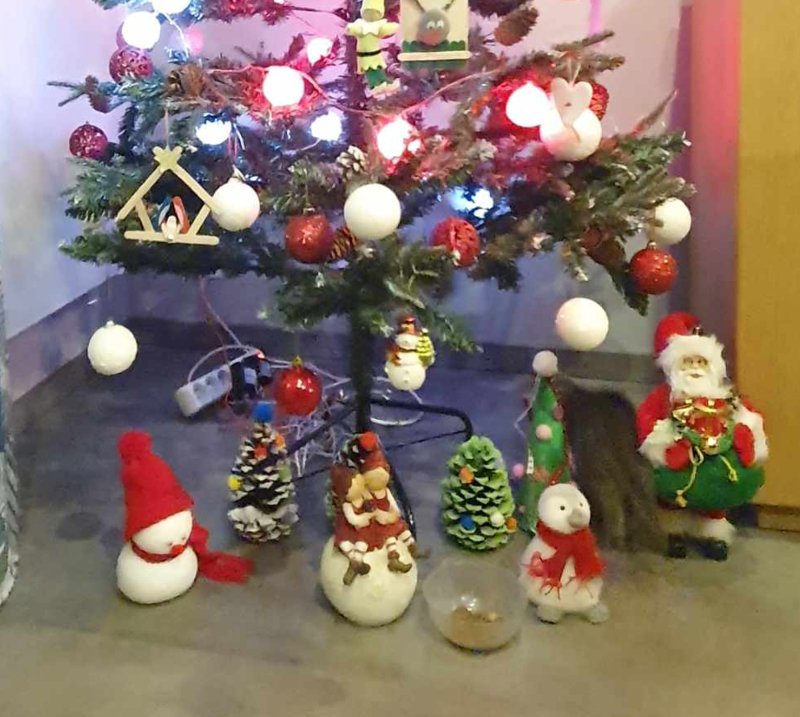 Chaton de 2 mois dans le sapin de noel