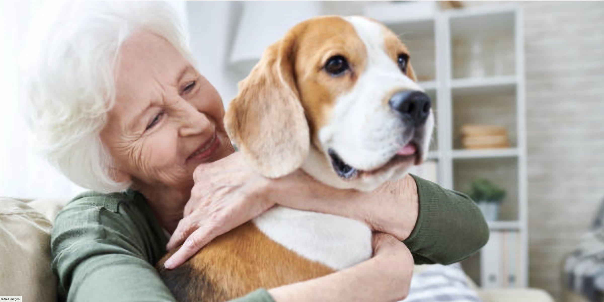 Accueil des animaux de compagnie en EHPAD : quelles sont les nouvelles conditions ?