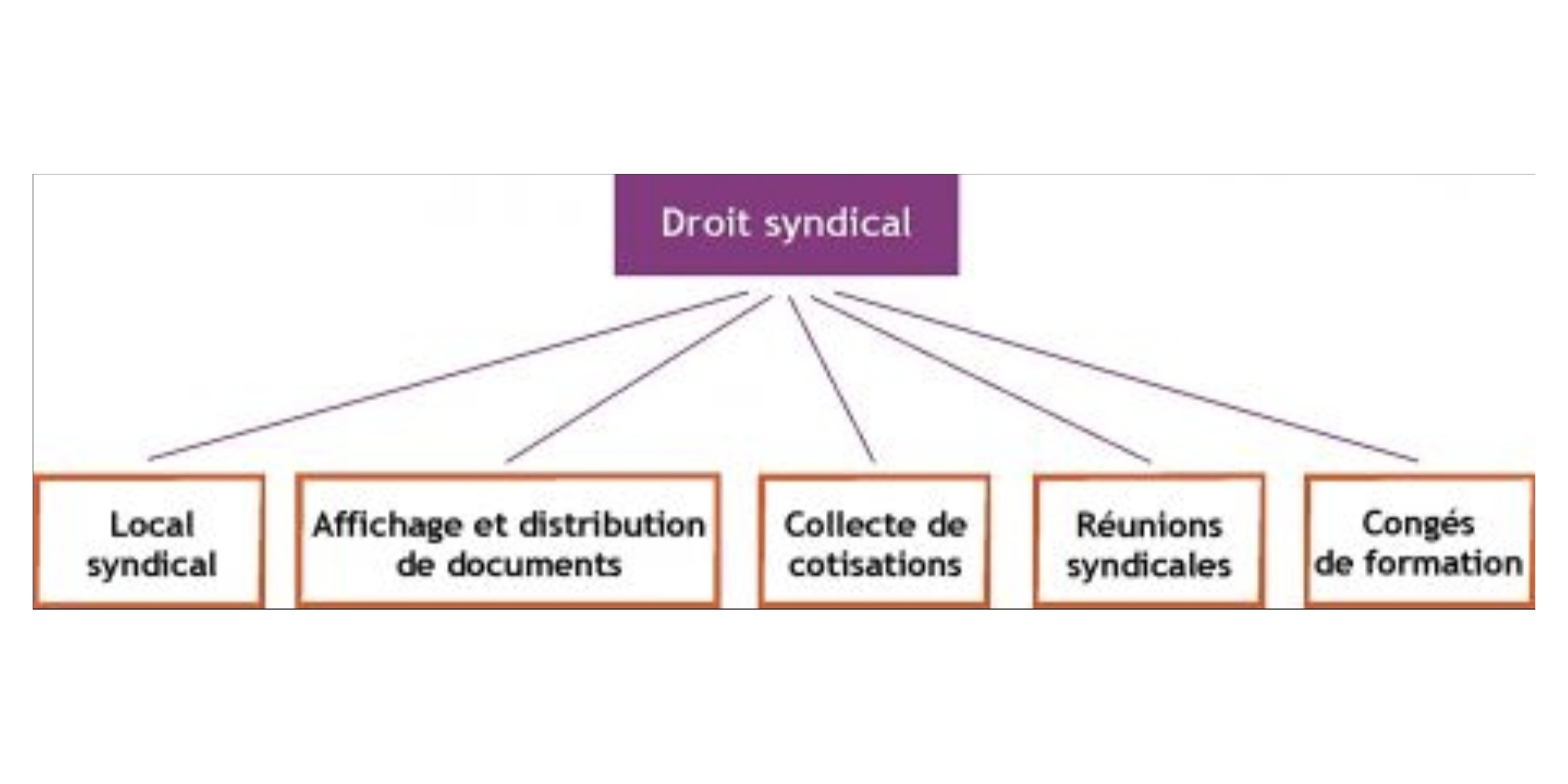 Formation des directeurs fonctionnels sur l'exercice syndical : un virage attendu… et bienvenu !