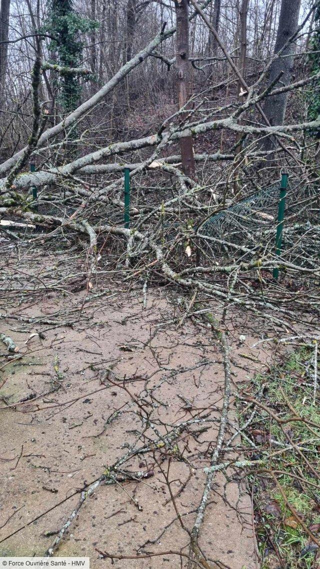 L'Est des Vosges balayées par un vent puissant : des dégâts à l'Unité de Vie Protégée aux Charmes