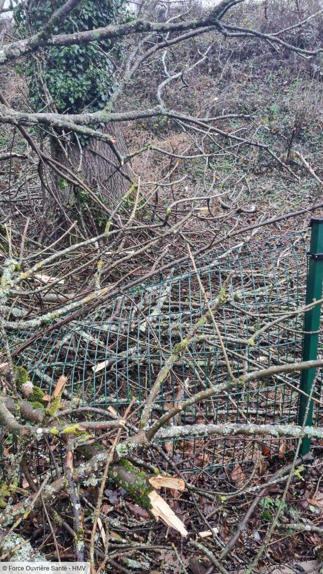 L'Est des Vosges balayées par un vent puissant : des dégâts à l'Unité de Vie Protégée aux Charmes