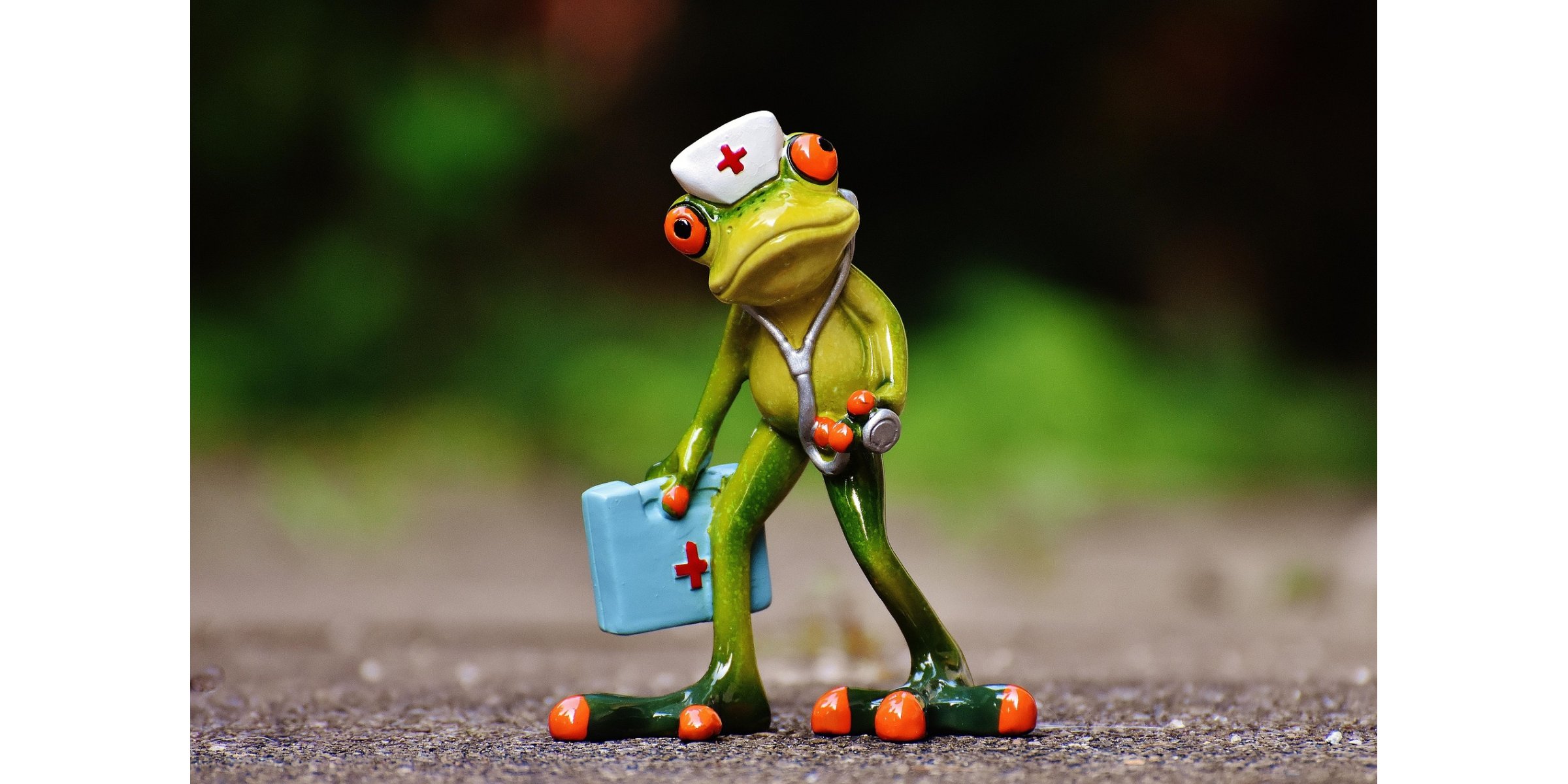 Loi du 27 juin 2025 sur la profession d'infirmier