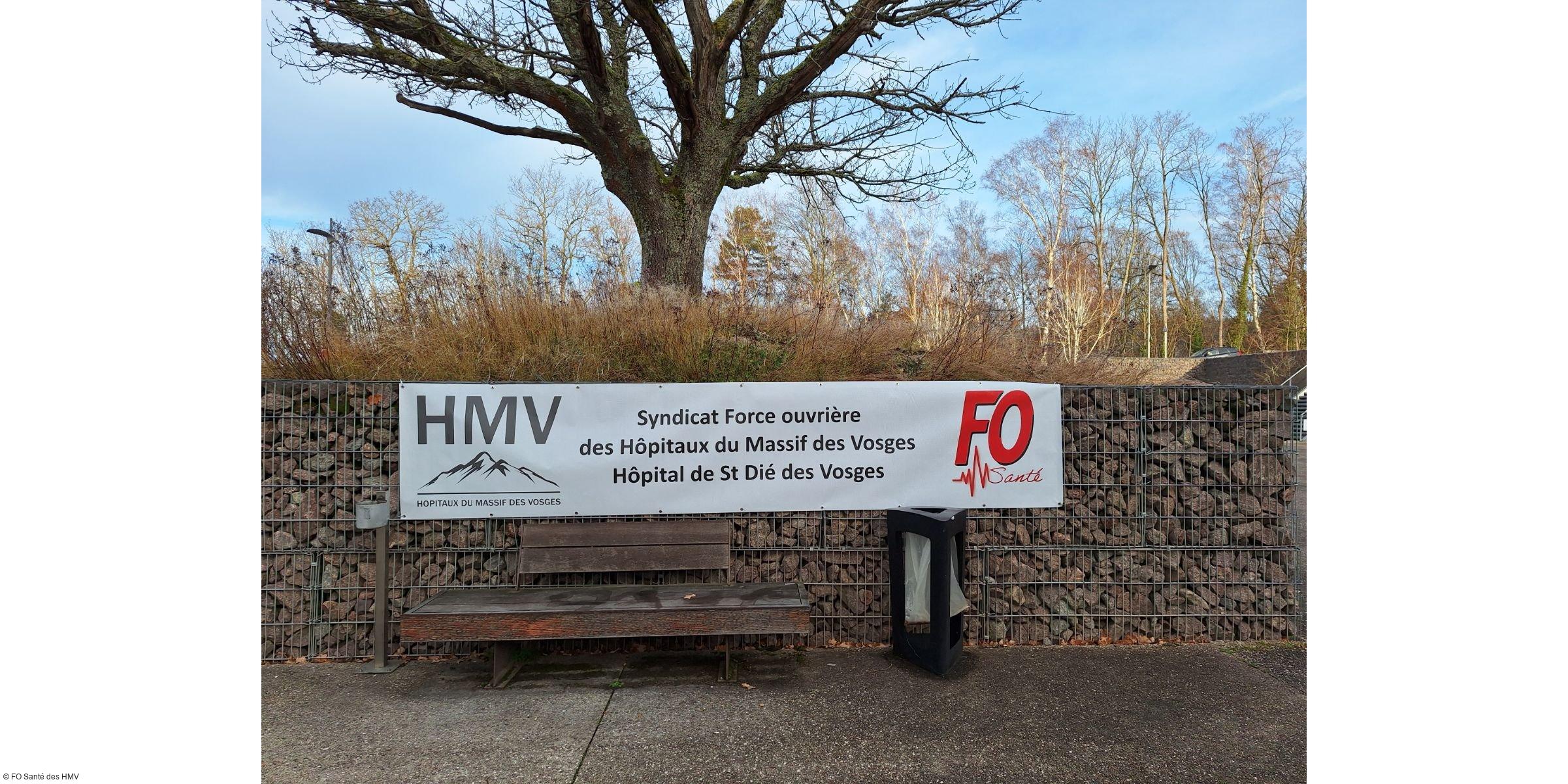 Manifestation pacifiste pour la défense des services publics à Saint-Dié-des-Vosges