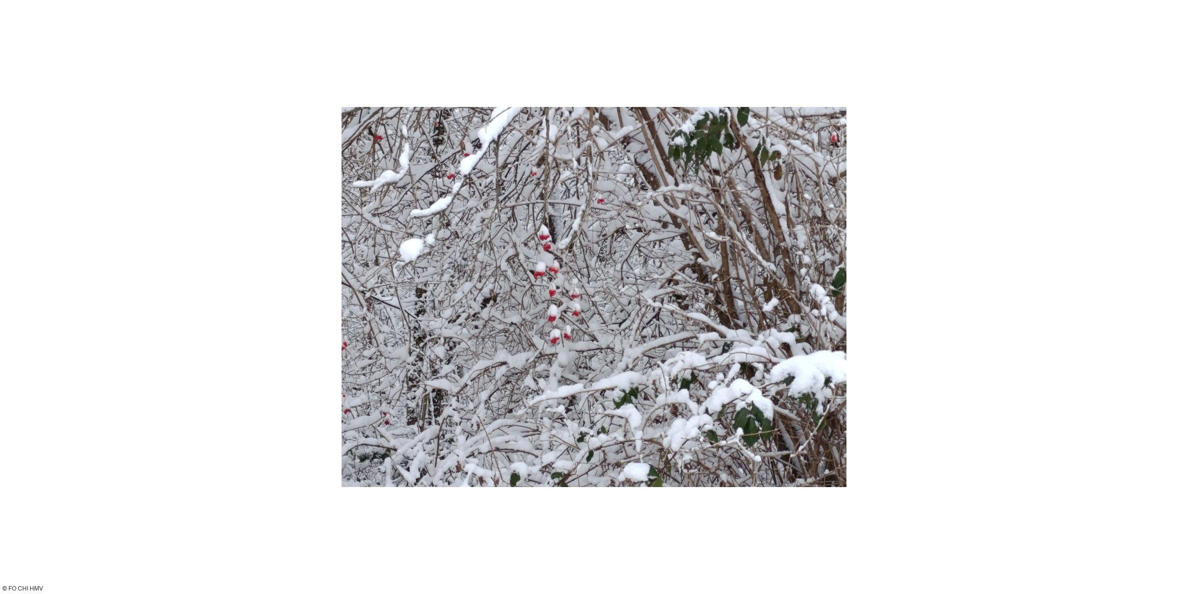 « Quand la neige tombe, votre engagement se lève : merci aux équipes des Hôpitaux du Massif des Vosges »