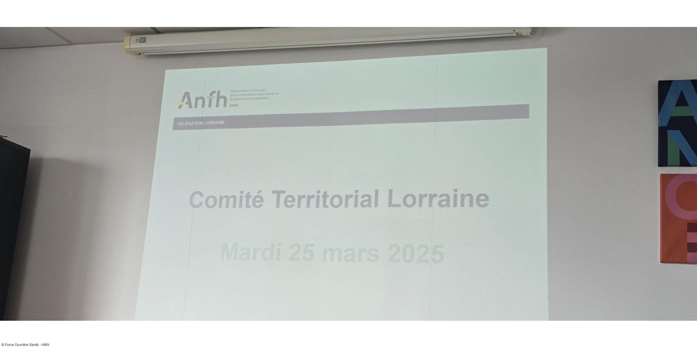 Réunion du Comité Territorial de l’ANFH : un bilan 2025 et des perspectives pour 2026